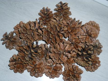 Borovicové šišky,
