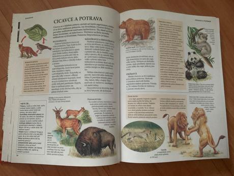 Skolska encyklopedia, 