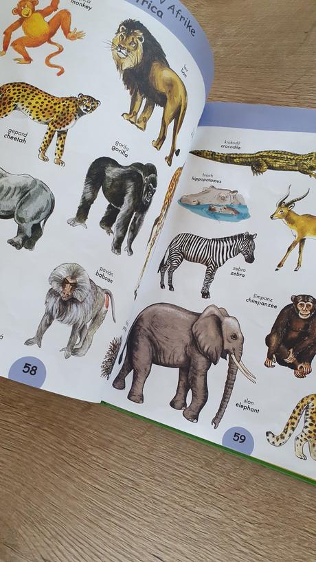 1000 prvých anglických slovíčok, 