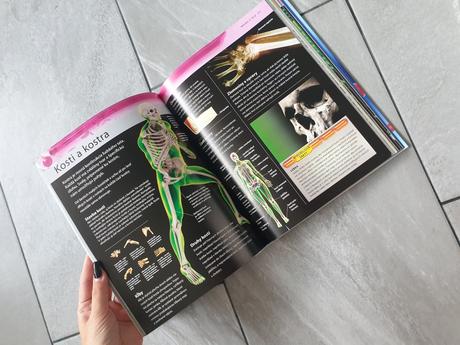 Poznávaj veci okolo seba,