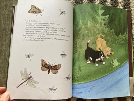 Traja kamaráti (2017), 