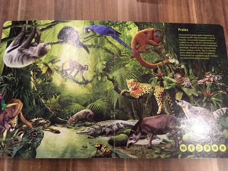 Albi - svet zvierat,