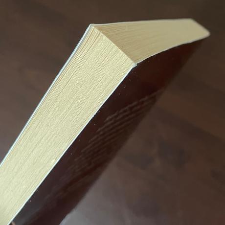 Pamäti giacomo casanova - česky, 