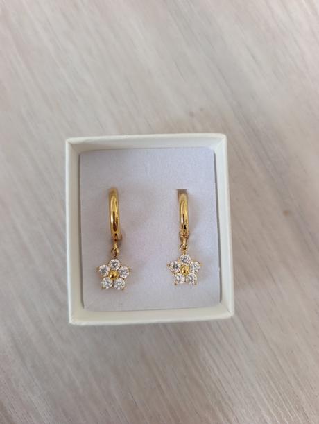 Pozlátené náušnice, 