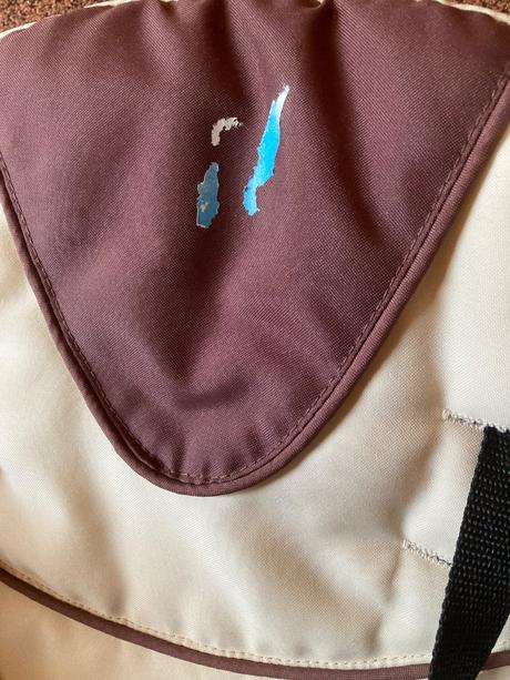 Detská jedálenská stolička 2 v 1, caretero