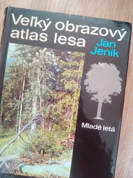 Veľký obrazový atlas lesa ô, 