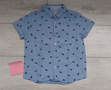 Košeľa s dinosaurami, 110
