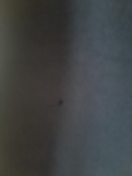 Bavlnené tepláky, h&m,164