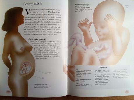 Tehotenstvi a pece o dite, jane symons,