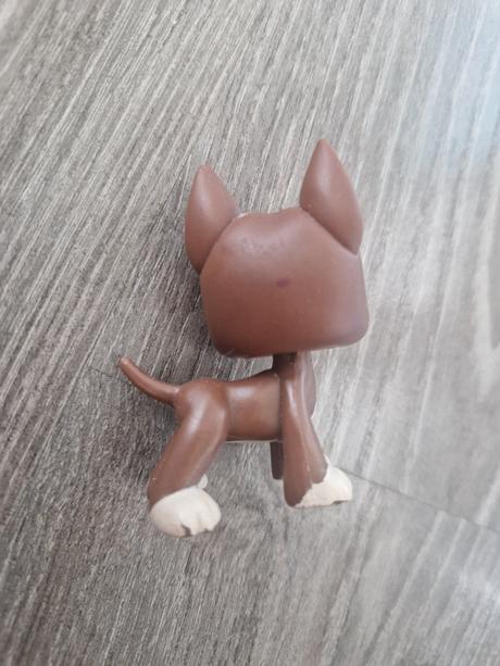 Littlest pet shop doga 1519, 