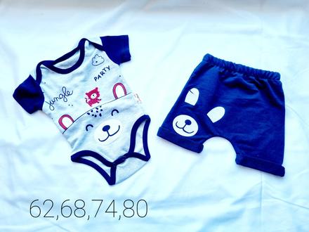 Komplet jungle, 68 / 74