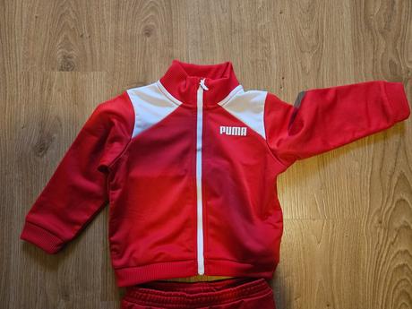 Puma súprava, puma,86