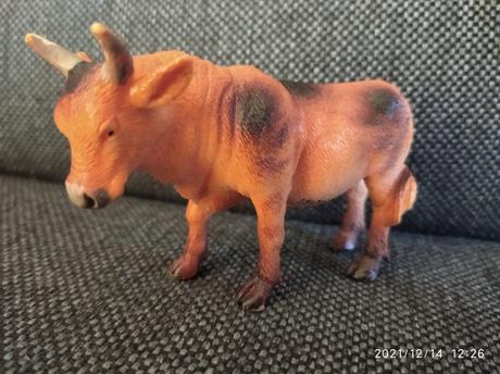 Realist.zvieratka zoo, 