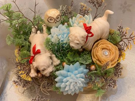 Detska mydlova kytica, 