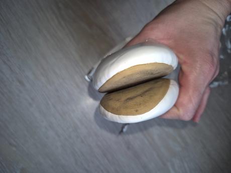 Baleriny, reserved,30