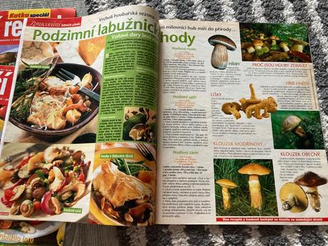 Najlepší recepty 5ks r.1999, 2001,