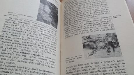 Kalendár ochrany rastlín v záhrade, 