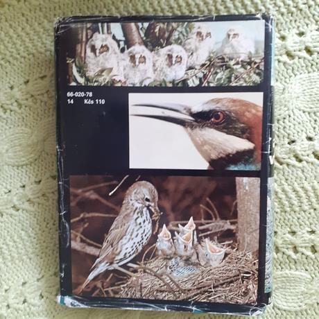 Veĺký obrazový atlas vtákov, 