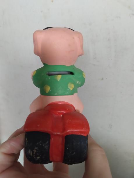 Prasiatko pokladnička, 