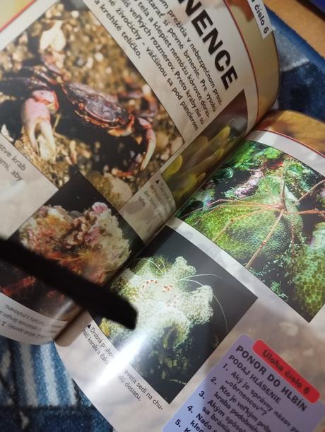 3d kniha čaro koralových utesov, 