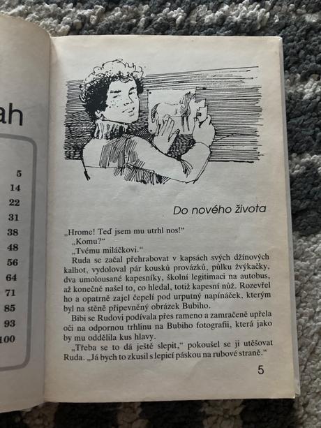 Bibi a bubi. kamarádi v dobrém i zlém (1993),