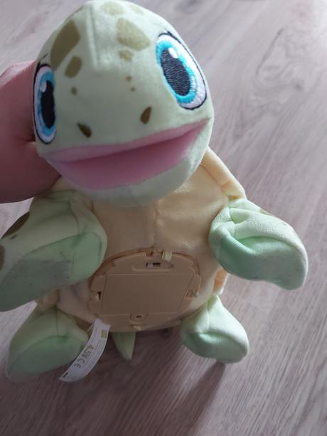 Korytnačka martina, 