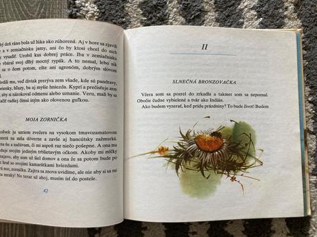 Biely zvonček-prvé vyd.1980, 