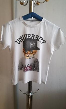 Tričko s mačkou, 134