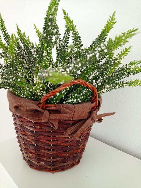 Pruteny kvetinac s 2 vresmi ako zive super stav,