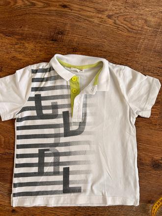 Polokosela coccodrillo, coccodrillo,98