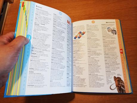 Usborne illustrated english dictionary,