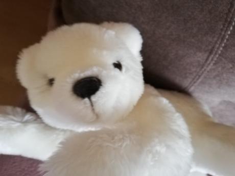 Plyšový medveď,