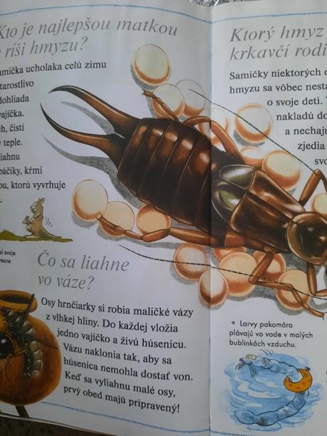 Chcem vedieť prečo - detská encyklopédia,