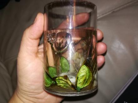 Zaujímavý pohár s dvojitym dnom,