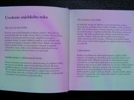 Kniha anjel na každý deň - angela mcgerr,