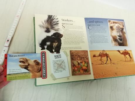 Explorer guide amazing animals au20, 