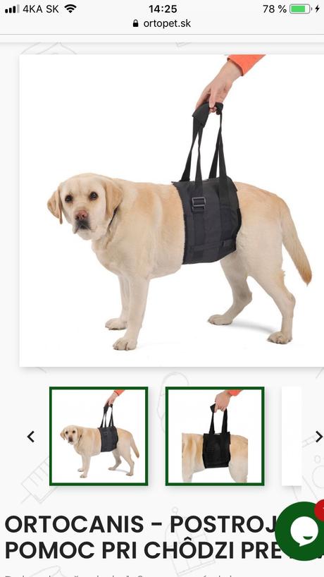 Postroj pre psa, 