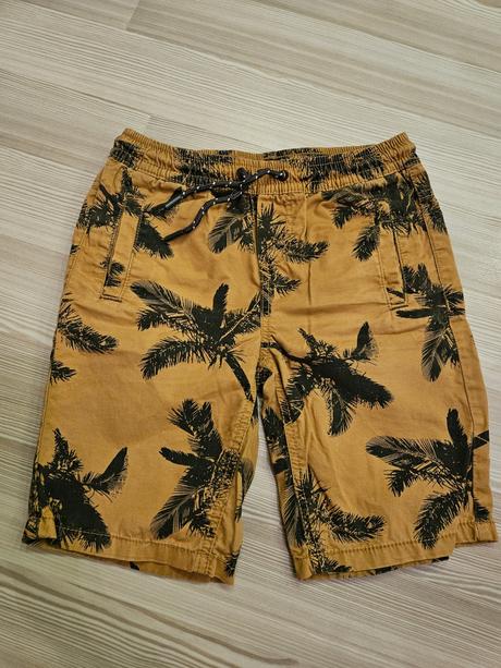 Kraťasy 146, chapter young,146