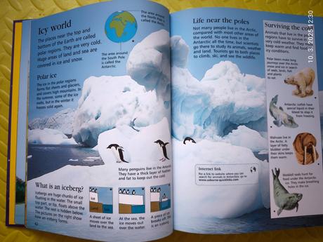 Usbourne children's encyclopedia top stav, 