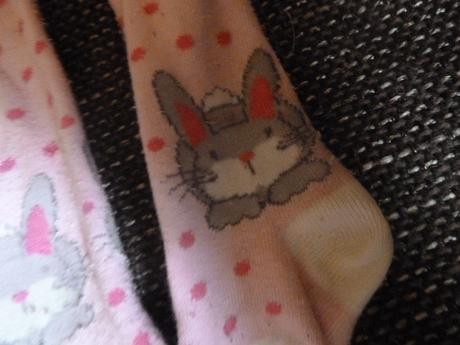 Pancusky so zajacikom, early days,17