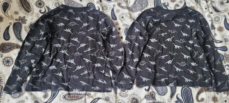 Tricko s dlhym rukavom dvojicky, lupilu,110