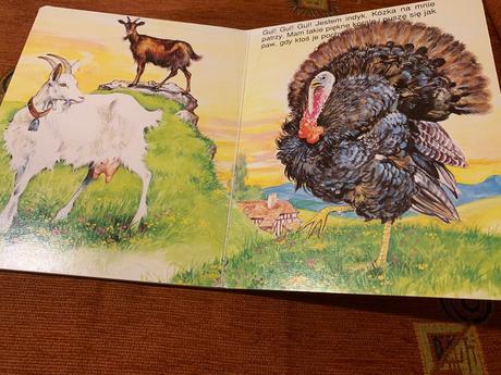 Kniha hontianske povesti a zvieratkove,