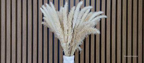 Sušená pampas - biela,prírodná, 