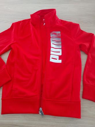 Puma bunda, puma,140