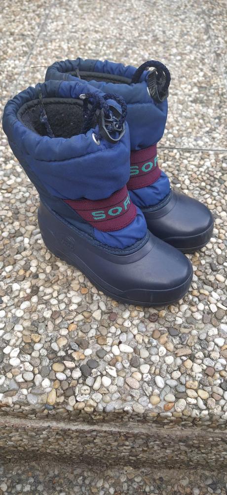 Snehule sorel, sorel,26