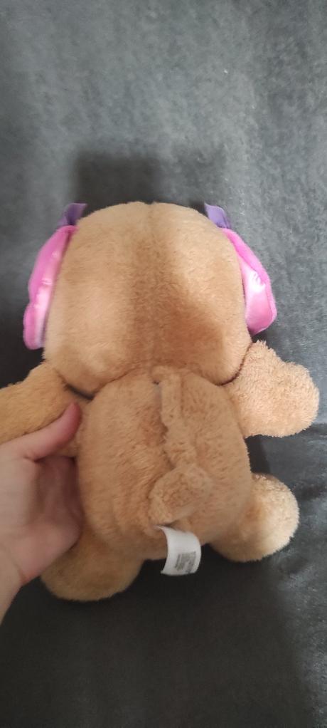 Fisher price psík sestrička, 
