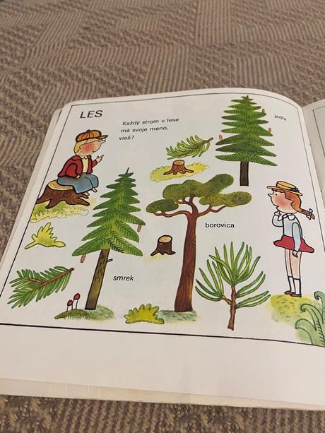 Stará retro kniha pozri toto je les nataša tanská,