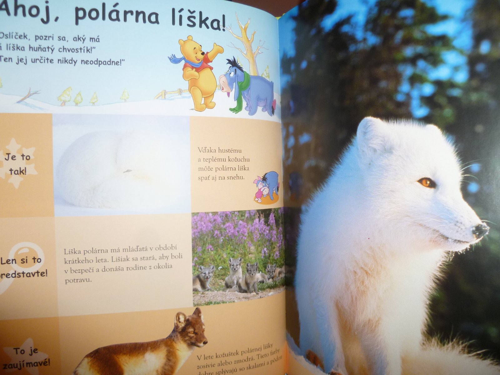 mláďatá, ktoré striekať