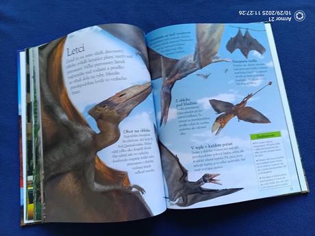 Dinosaury život, potrava, mláďatá, súboje, ako vyh,