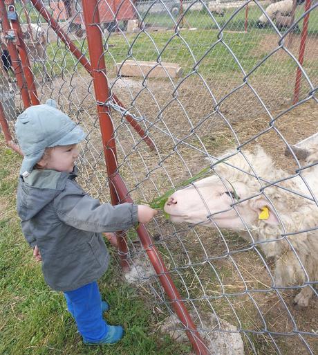 Prechodna bunda 86-92hm, h&m,86